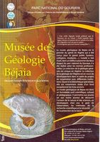 Musée de Géologie